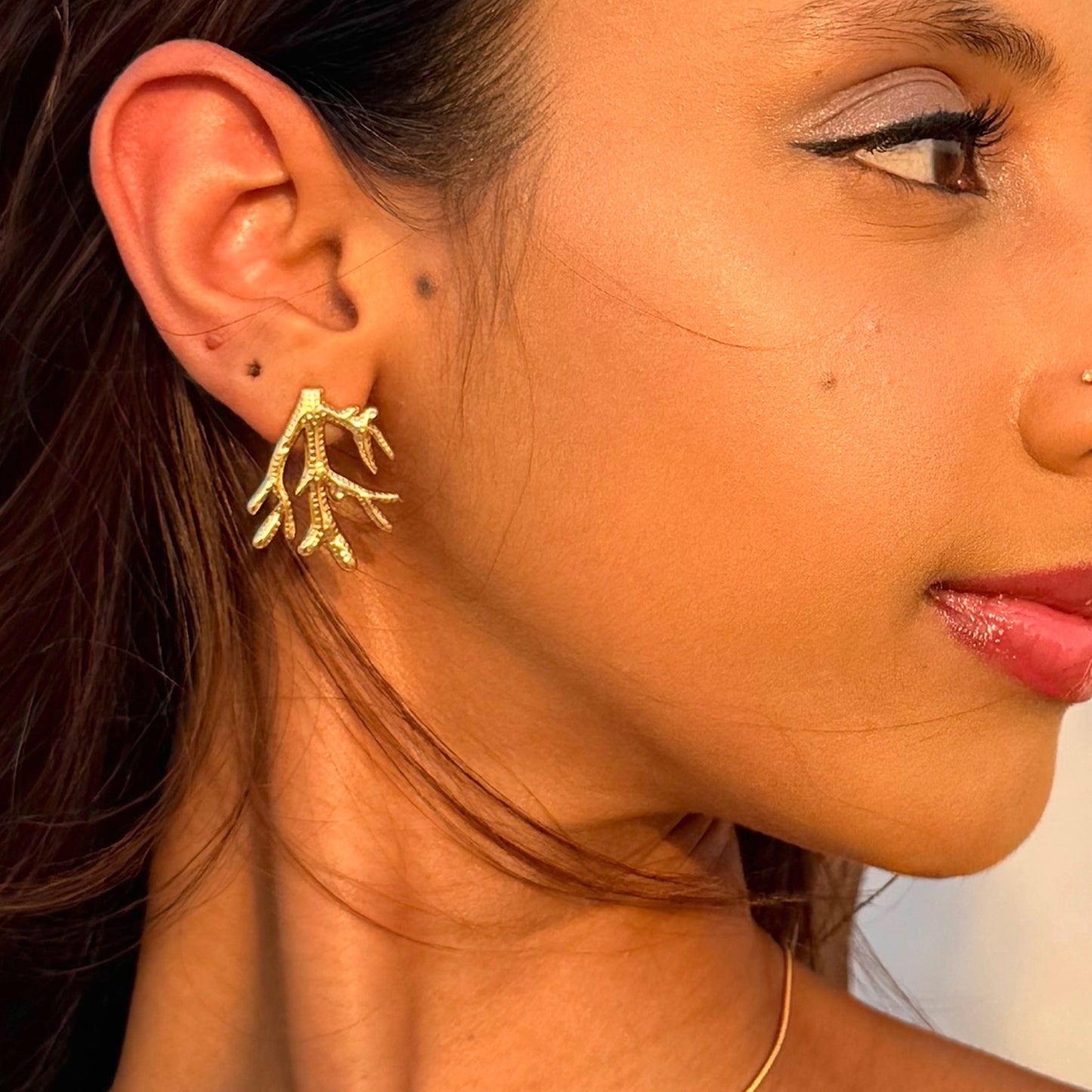 Sylva Studs